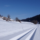 Tracked for classic and skating