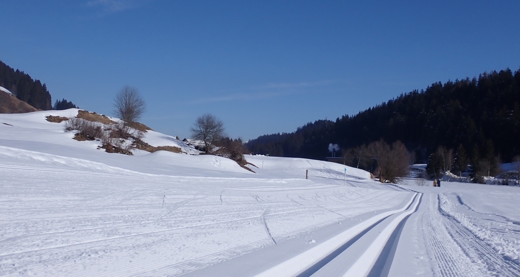 Klassisch und Skating gespurt