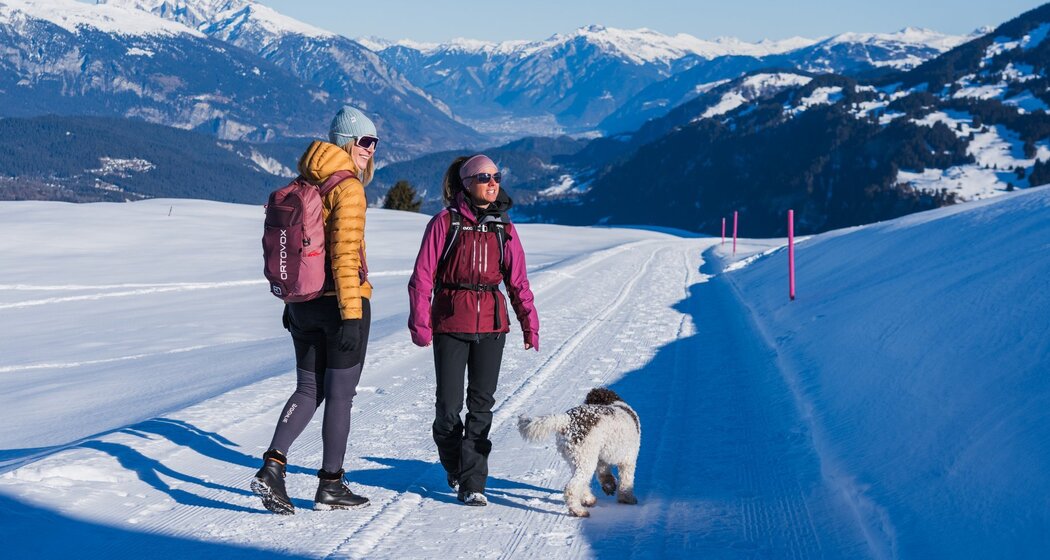 Die Sicht reicht über die Rheinschlucht bis nach Chur