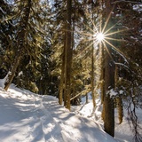 Winterliche Natur in San Bernardino