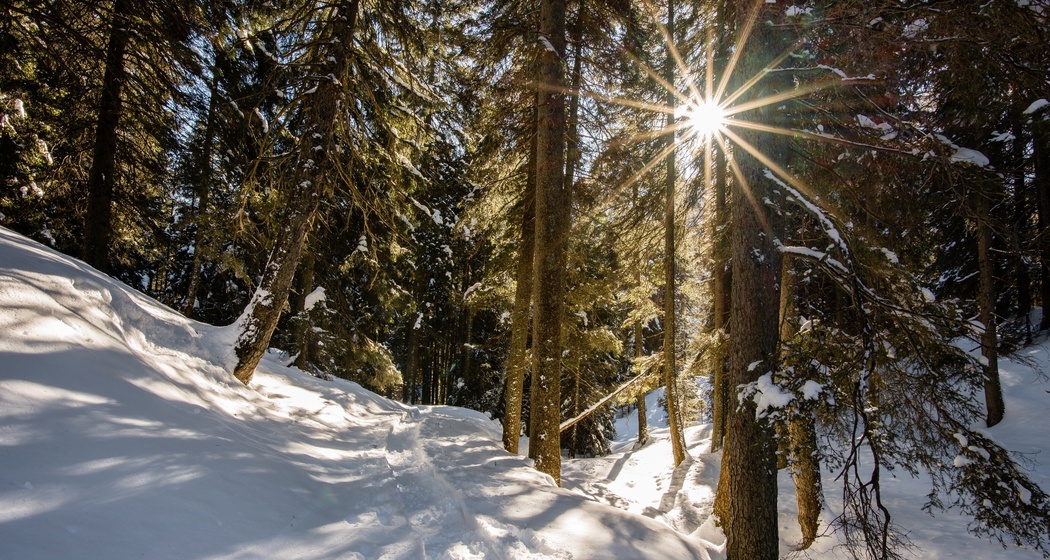 Winterliche Natur in San Bernardino