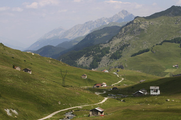 Blick über das Val Tgavregta mit den Alpen, die von Bergellern bestellt wurden.