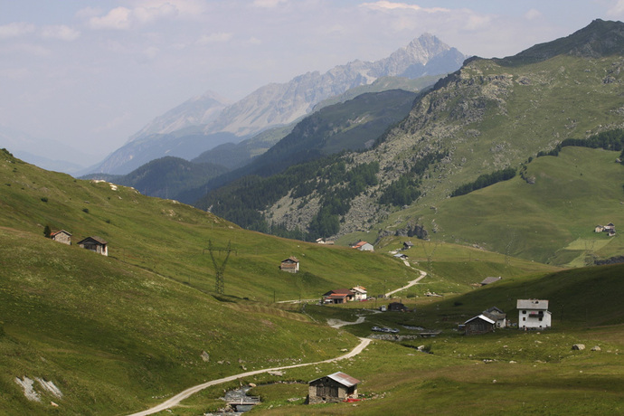 Blick über das Val Tgavregta mit den Alpen, die von Bergellern bestellt wurden.