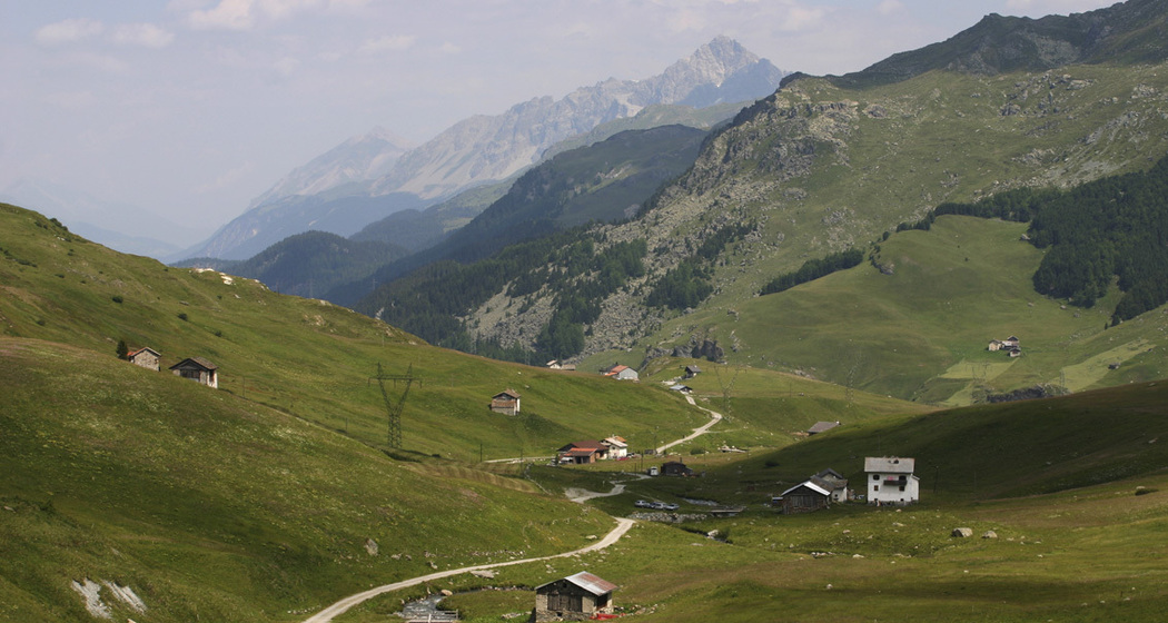 Blick über das Val Tgavregta mit den Alpen, die von Bergellern bestellt wurden.