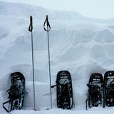 Snowshoes