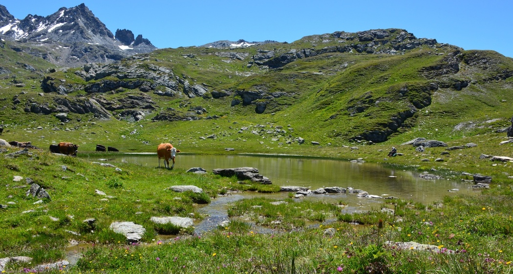 Rundwanderung Rabgiusa