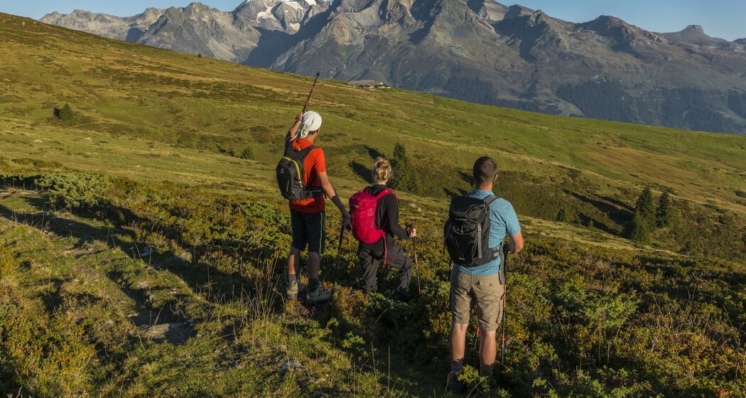 Zum geniessen, dieses Panorama auf die Brigelser Seite