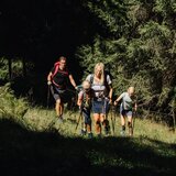 Shady ascent to Meierhof