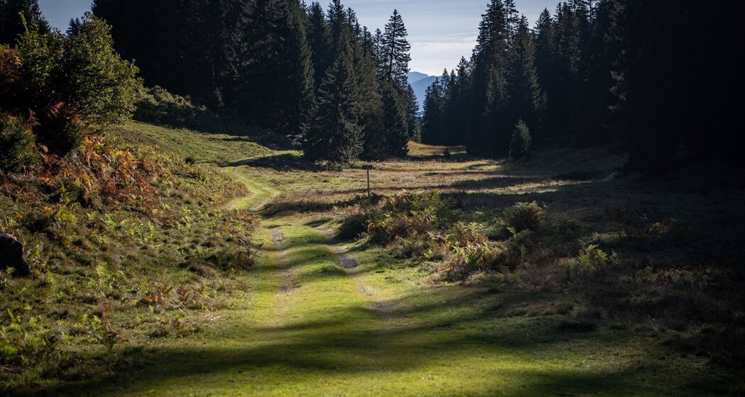 Bei Plaids nach Brigels