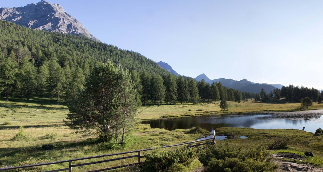 Tarasp (Rundwanderung) (oua_609916501_image)