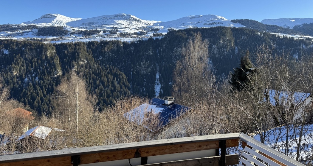 Ferienwohnung Alp Dado - Aussicht
