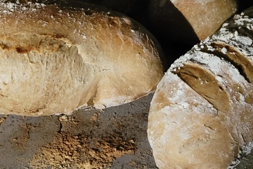 Frisch gebackenes Brot im Ofen