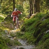 Crest da Tiarms (oua_610300064_image)