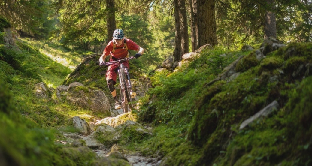 Crest da Tiarms (oua_610300064_image)