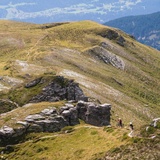 Crest da Tiarms (oua_610300065_image)