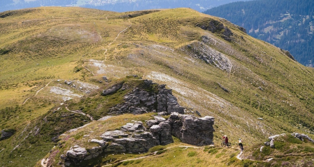 Crest da Tiarms (oua_610300065_image)