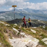Crest da Tiarms Trail (oua_610300066_image)