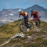 Crest da Tiarms Trail (oua_610300067_image)