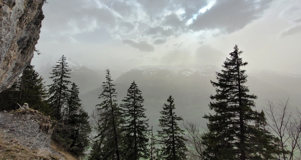 Trail- Route: Hinterspina Palfries