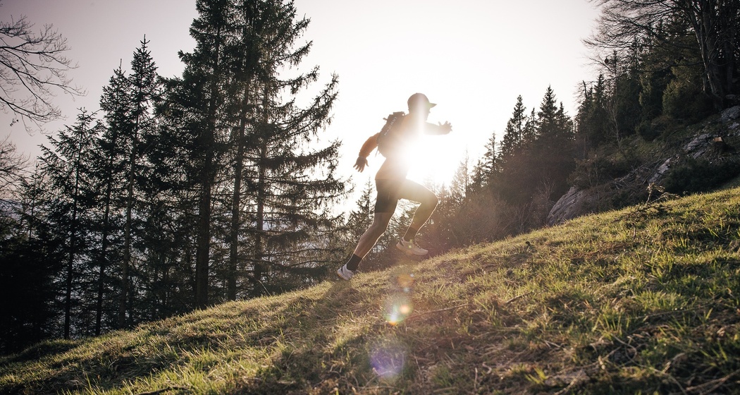 Trail- Route: Hinterspina Palfries