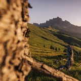 Parcours : Gonzenleiter Palfries