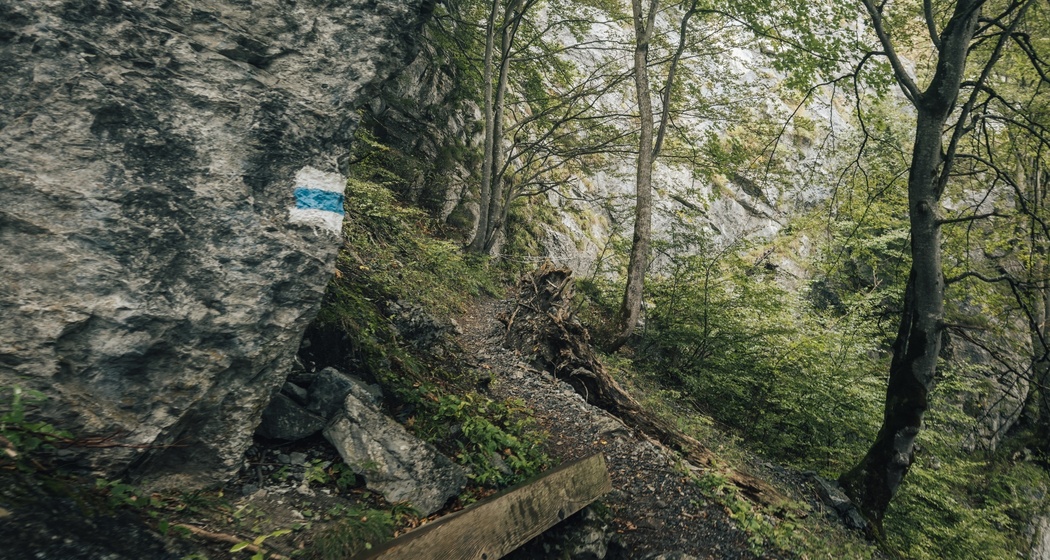 Trail- Route: Gonzenleiter Palfries