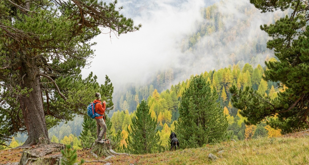 Lü – Alp Valmorain – Alp Tabladatsch – Lai da Valpaschun – Lü (oua_610478091_image)