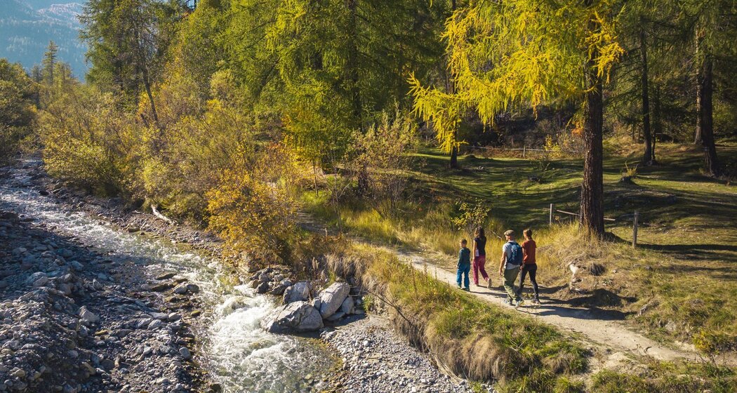 A la riva dal Rom – an den Ufern des Rom [SchweizMobil-Nr. 801] (oua_610478226_image)