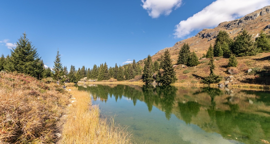 660 Alp Flix Bike (oua_61149001_image)