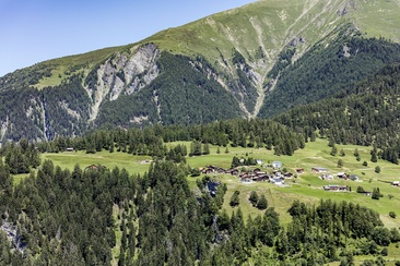 Trans (oua_611519380_image)