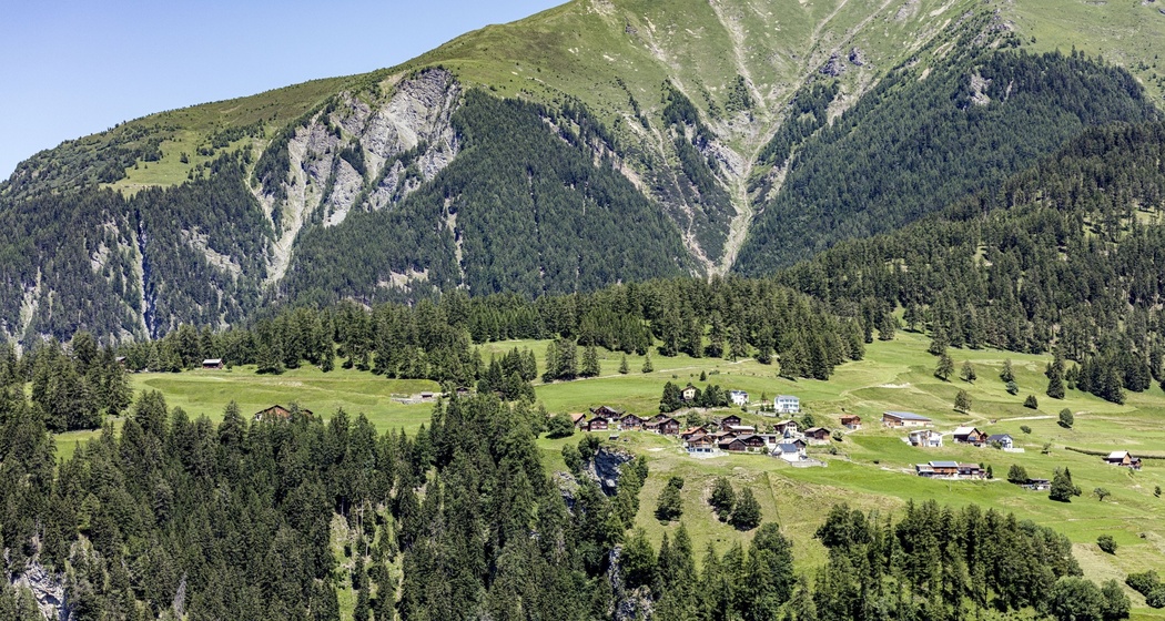 Trans (oua_611519380_image)