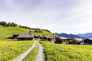 Mutten (oua_611519453_image)