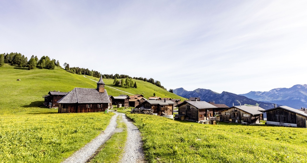 Mutten (oua_611519453_image)