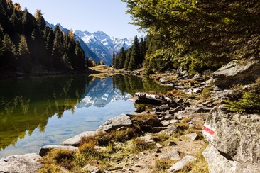 Lai Lung (oua_611519468_image)