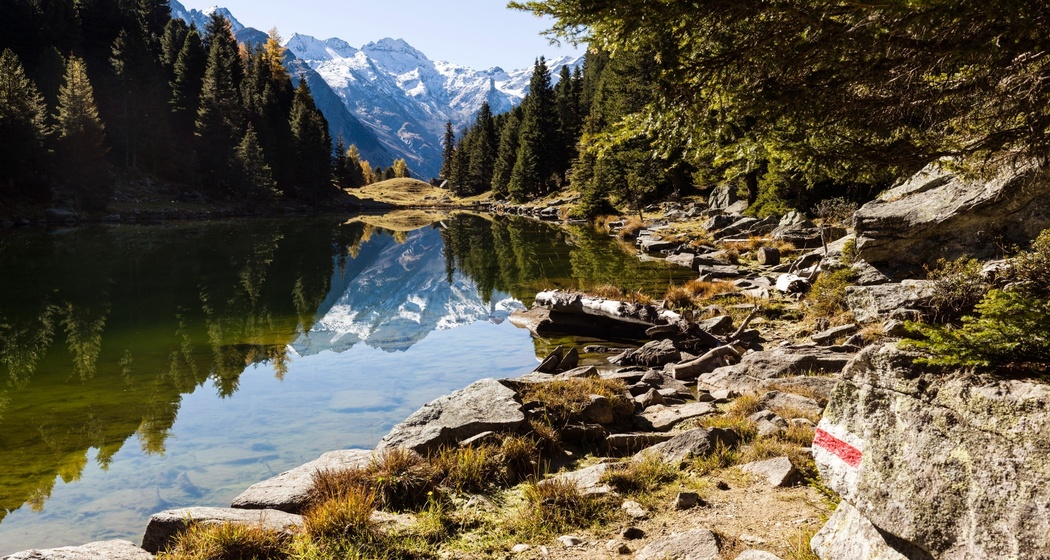 Lai Lung (oua_611519468_image)