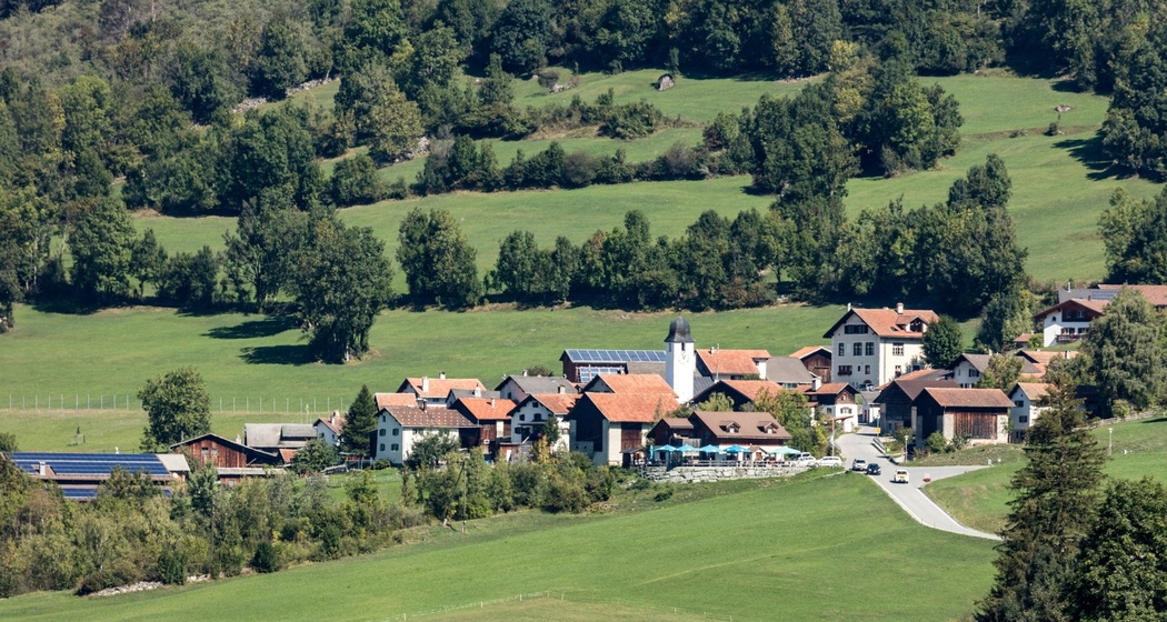 Pignia (oua_611519495_image)