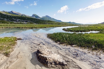 Lai Pintg (oua_611519505_image)