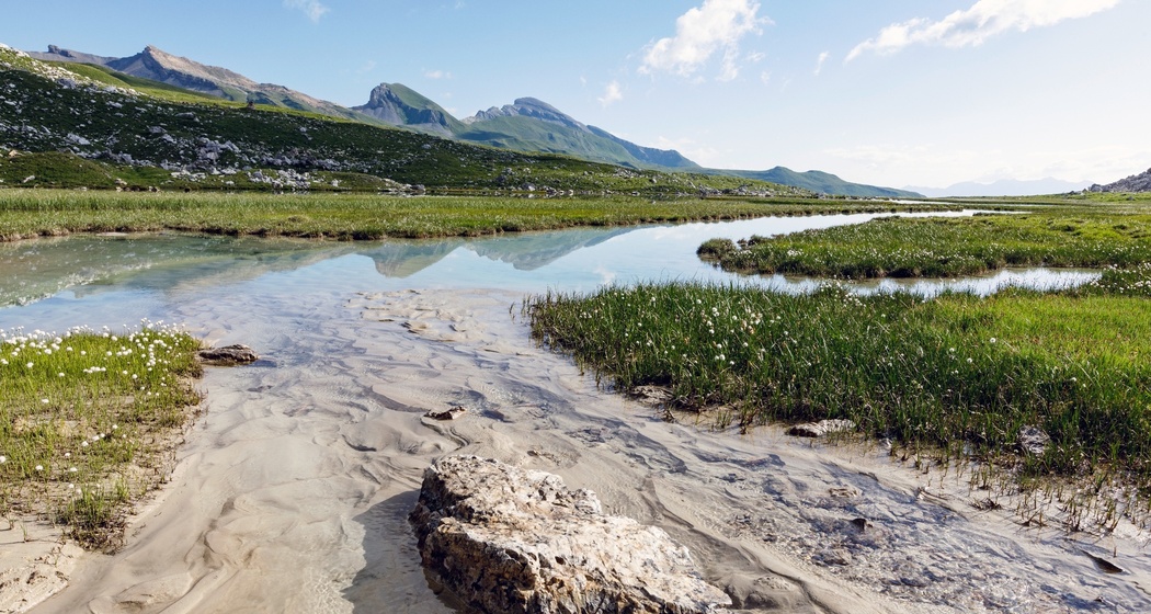 Lai Pintg (oua_611519505_image)