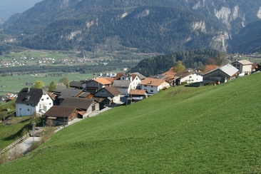 Tartare (oua_611519519_image)