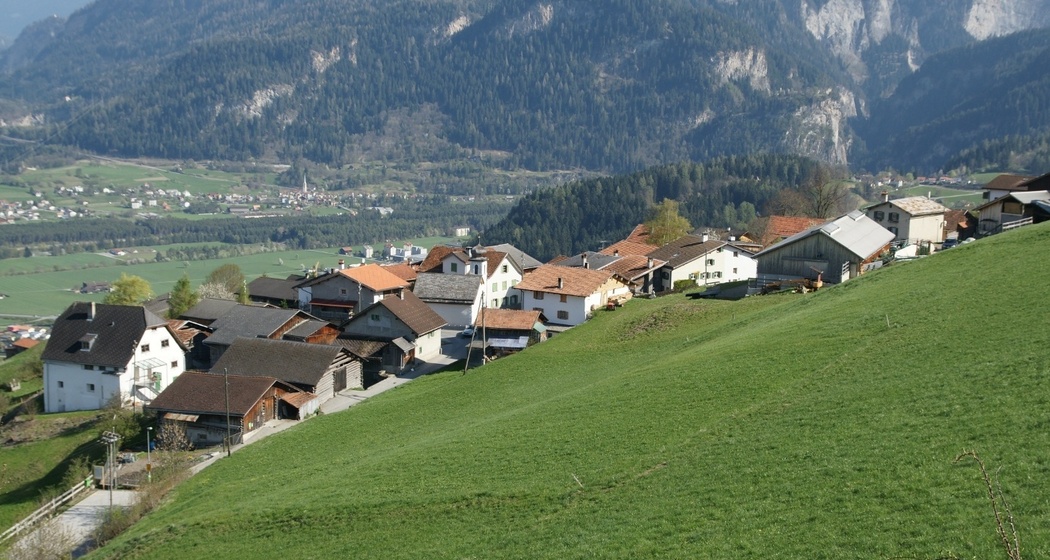 Tartar (oua_611519519_image)