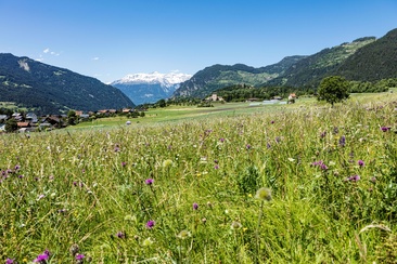 Pratval (oua_611519608_image)