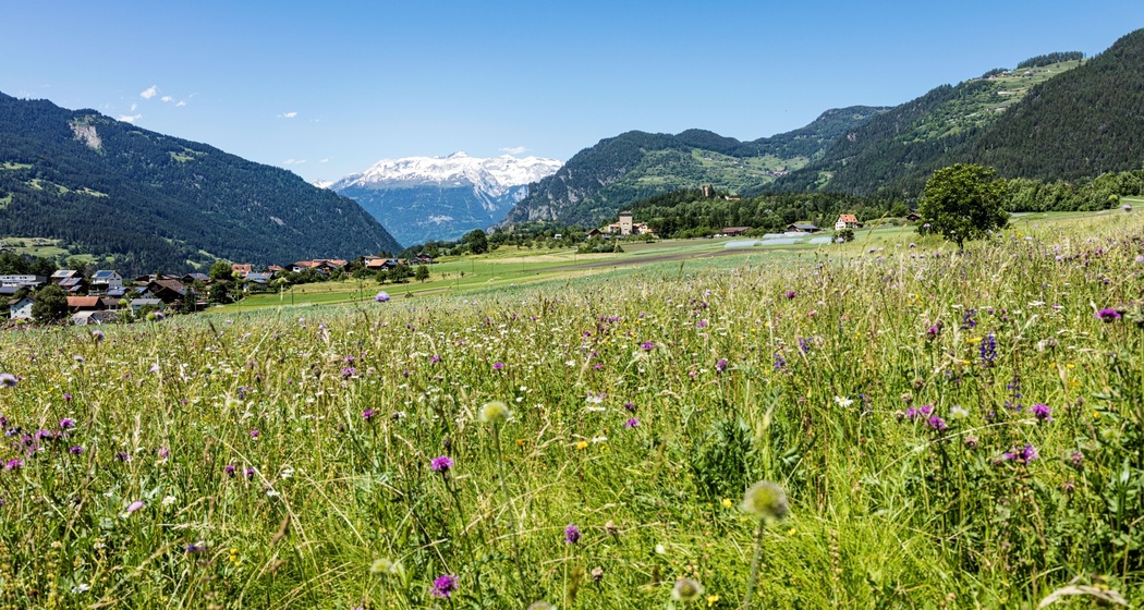 Pratval (oua_611519608_image)