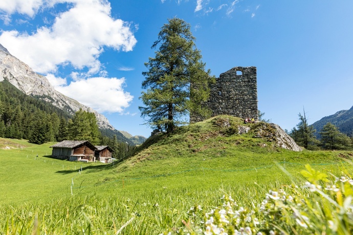 Ruines du château de Splügen (oua_611519613_image)