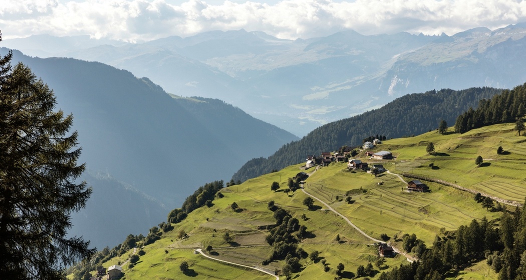 Restaurant Edelweiss (oua_611519658_image)