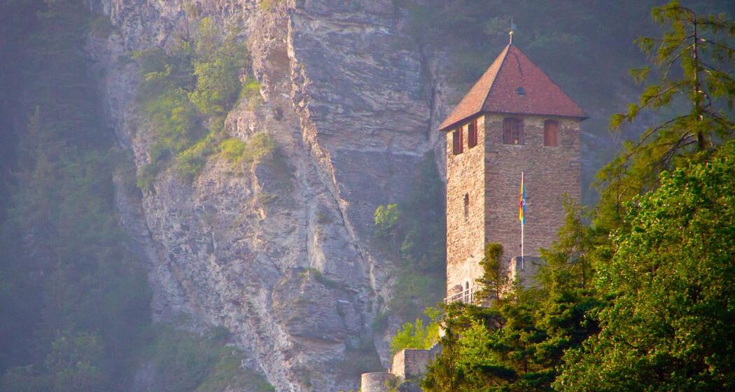 Burg Innerjuvalt (oua_611519672_image)