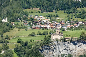 Tomils (oua_611519709_image)