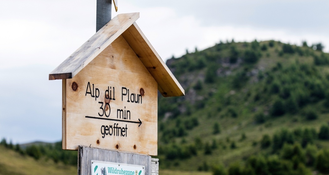 Alpbeizli Alp dil Plaun (oua_611519717_image)