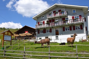 Guesthouse Alpina (oua_611519842_image)