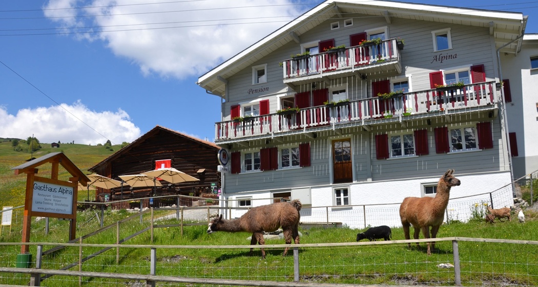 Gasthaus Alpina (oua_611519842_image)