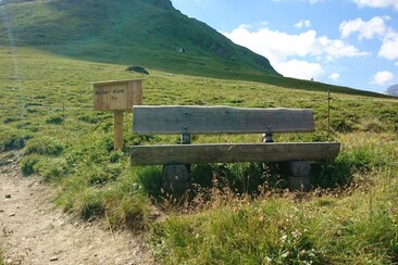 Scatola di libri Avers (oua_611519872_image)